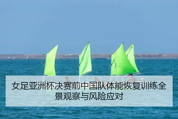 女足亚洲杯决赛前中国队体能恢复训练全景观察与风险应对（PG）