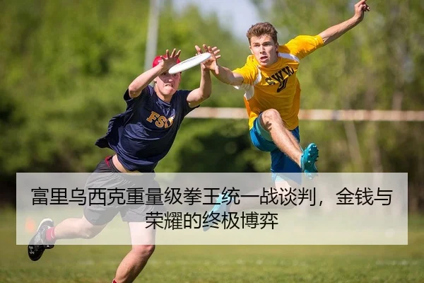 富里乌西克重量级拳王统一战谈判，金钱与荣耀的终极博弈