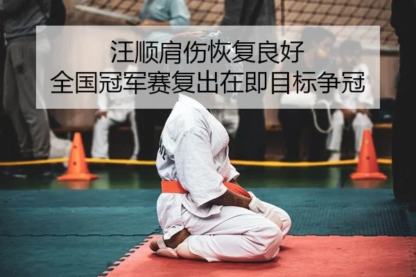汪顺肩伤恢复良好 全国冠军赛复出在即目标争冠 | PG